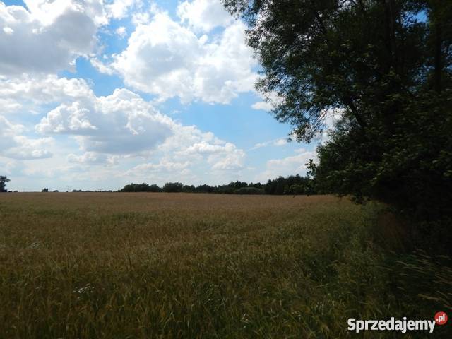 Ziemie 2h rolna Małe Radowiska sprzedam