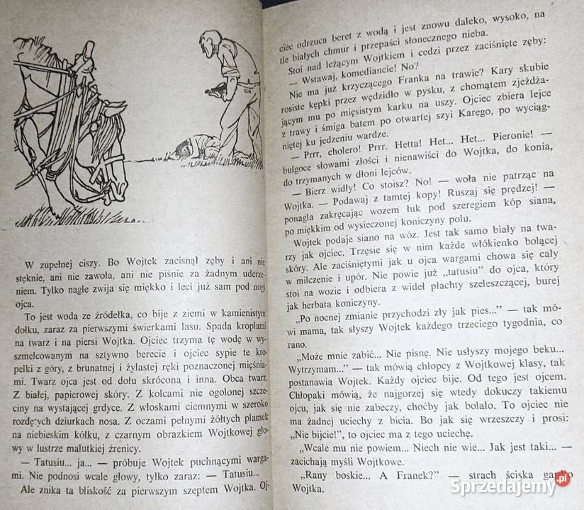 A jednak radość Janina Barbara Górkiewiczowa Rok wydania 1976 Chełm