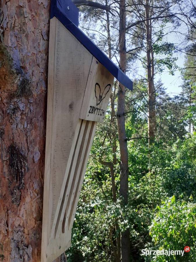 Dębowa szczelinowa budka nietoperzy polecana Lubsza