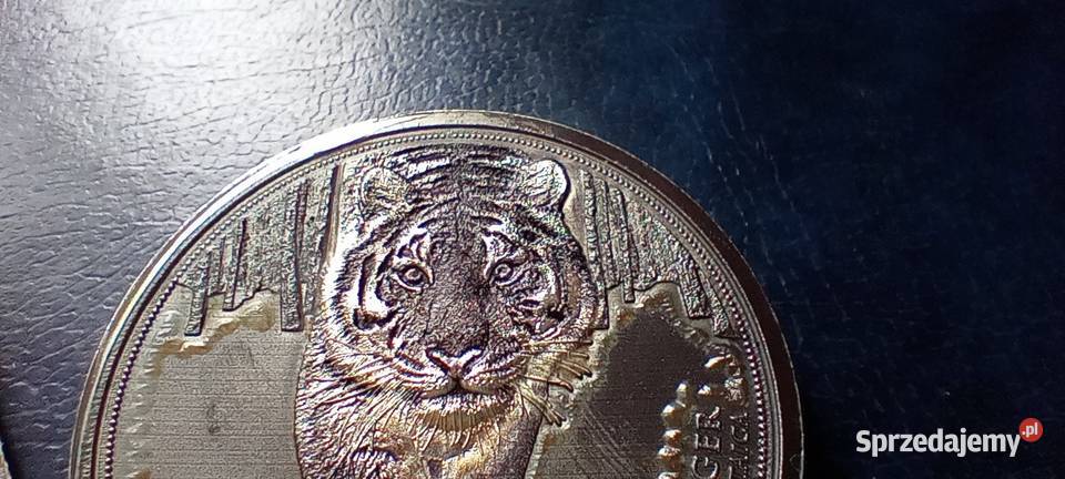 Stare monety Medal 236 Lesko