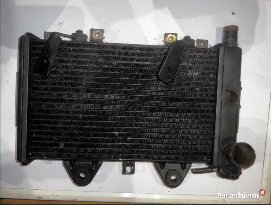 chłodnica TRIUMPH TIGER 900 Ostrzeszów