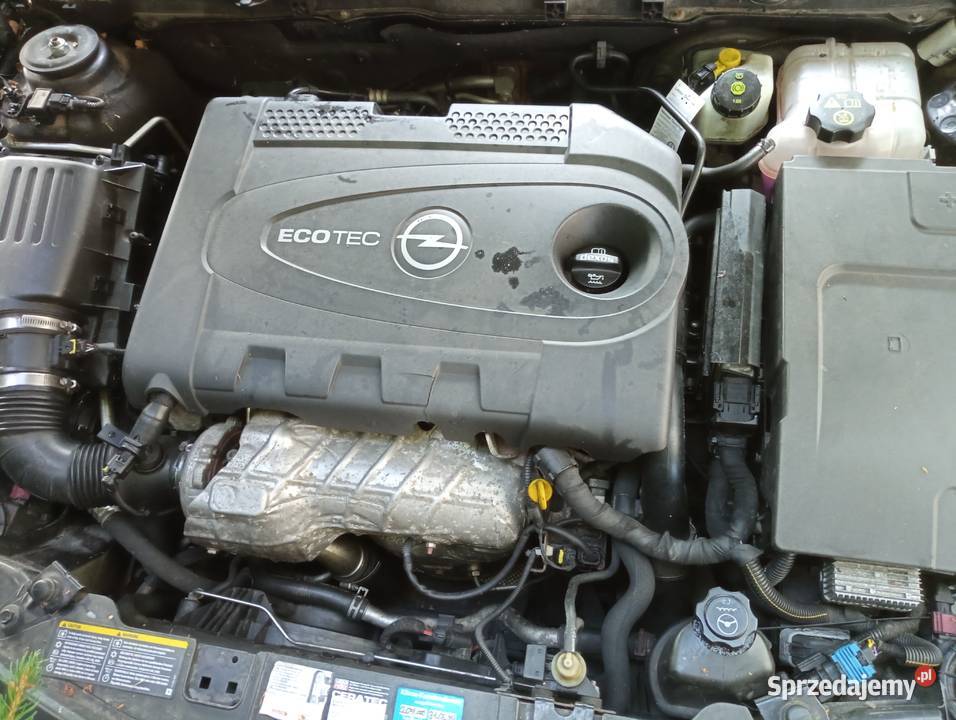 Opel Insignia A Sport Tourer Cosmo 20 CDTI 160 Leszno Górne sprzedam