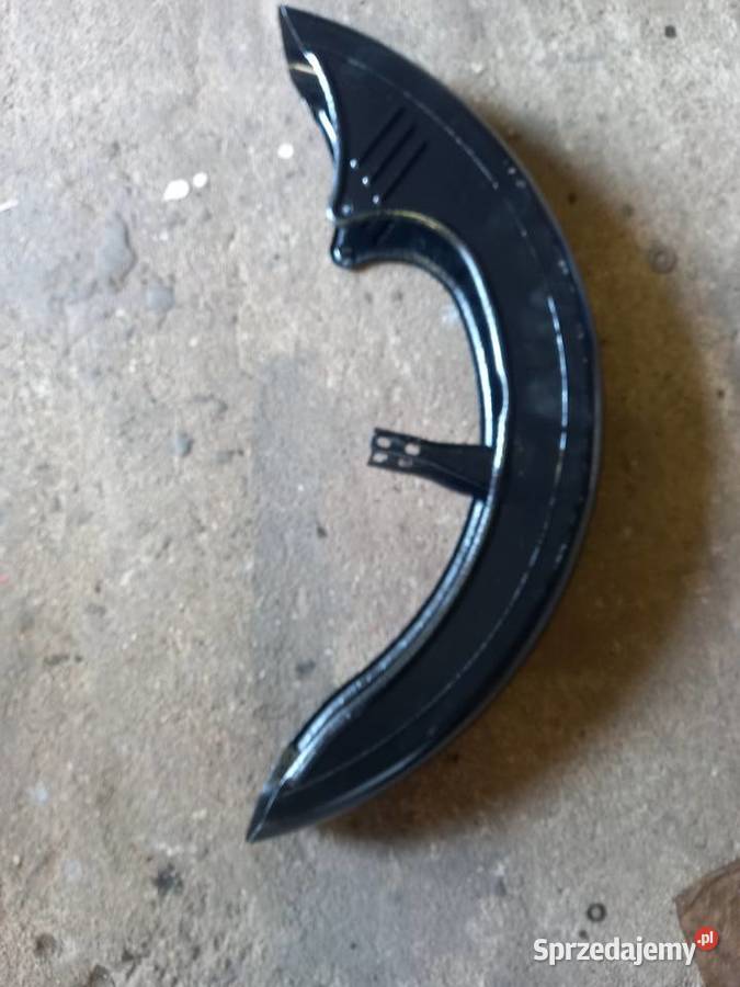 Blotnik zak rys Sokołów Podlaski