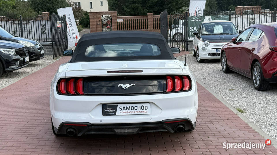 Ford Mustang Cabrio Wypas Automat VI 2014 serwisowany w ASO Sade Budy sprzedam