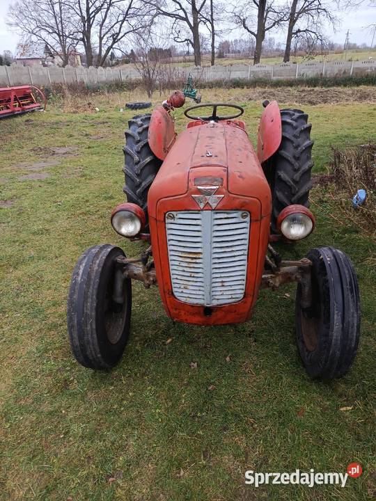 Massey Ferguson 35 benzyna