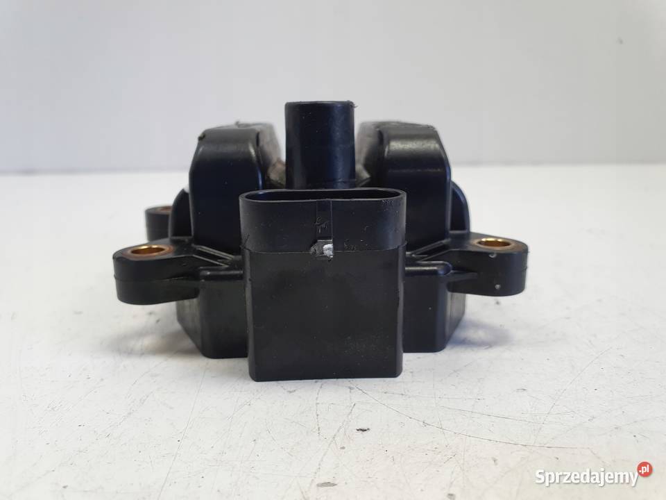 CEWKA ZAPŁONOWA Renault Clio 12 16V 77040001 Pozostałe Rudka