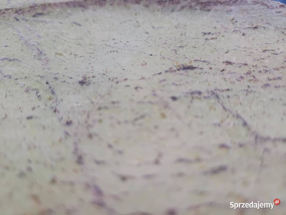 Fornir Kamienny Transparentny Rainforest Green Gdynia