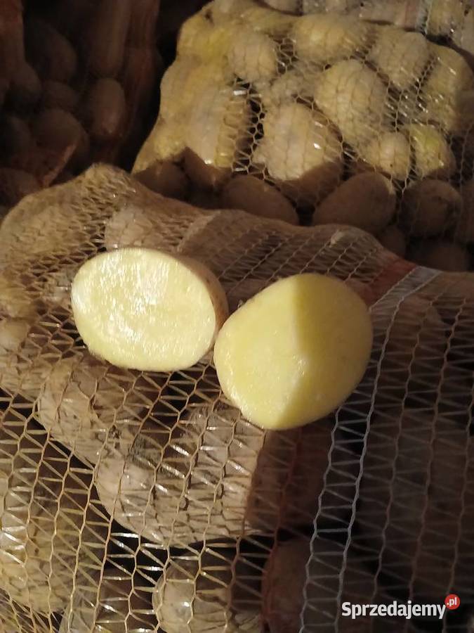Ziemniaki jadalne Kraśnik