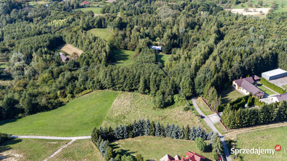 Na sprzedaż działka idealna pod winnice