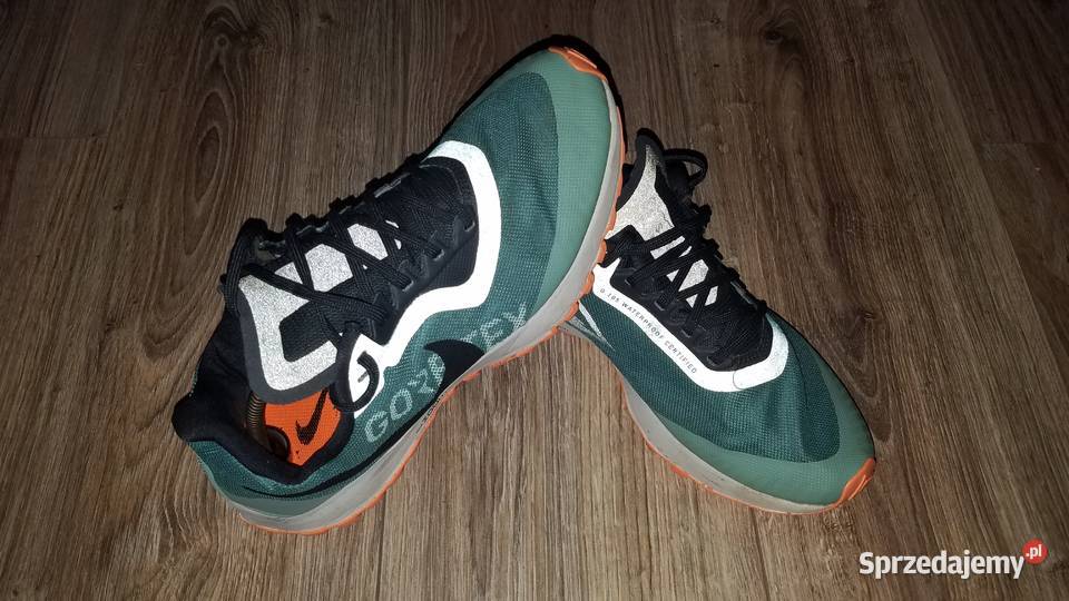 Buty NIKE Zoom Pegasus 36 Trail GTX 4041 255 do Białystok