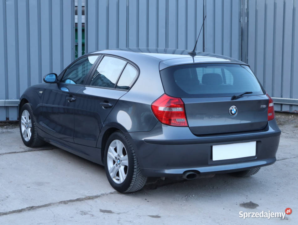 BMW 1 116i komputer pokładowy Piaseczno