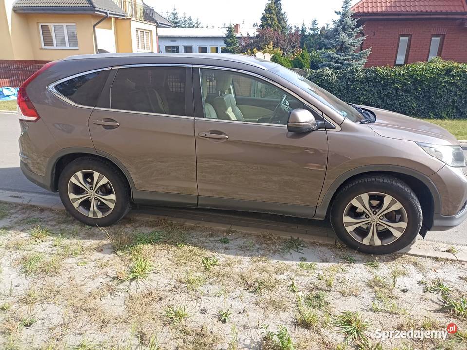 Honda CRV 20 Executive Navi Salon Motoryzacja