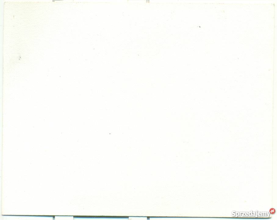 Stara fotografia góry alpy Szwajcaria Ostrów Wielkopolski