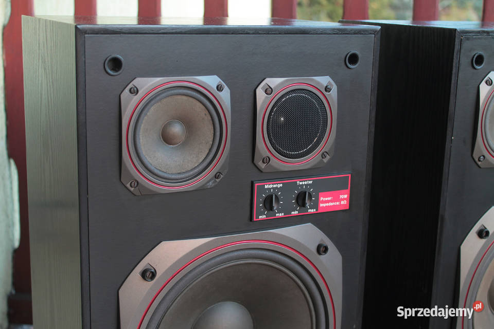 Kolumny Tonsil Alton 70 100 sprawne oryginalne kujawsko-pomorskie Toruń sprzedam