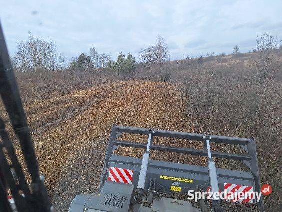 Wycinka drzew Czyszczenie działek Mulczowanie Dąbrowa Górnicza