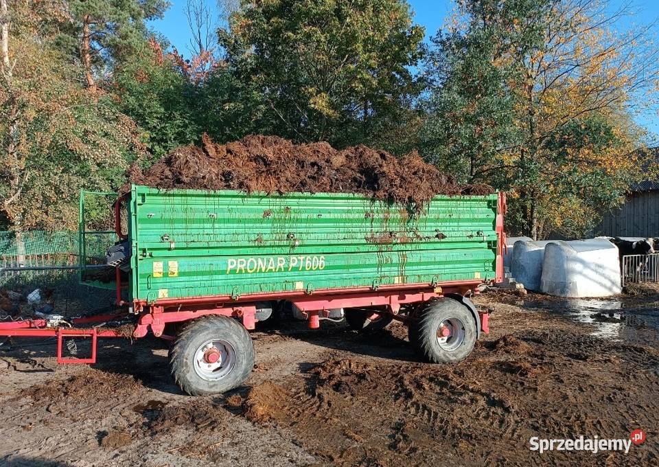 Obornik bydlęcy mazowieckie Potworów sprzedam