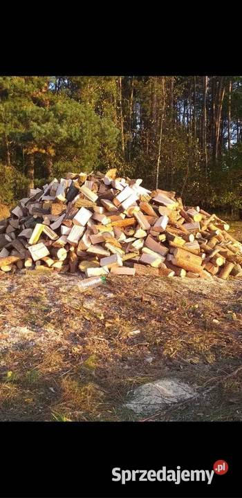 Drewno na opał sprzedam
