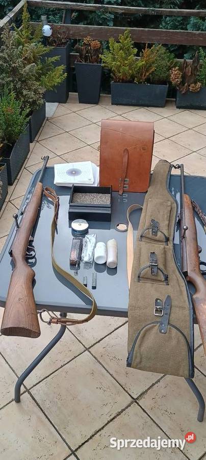 Wiatrówka Haenel dolnośląskie Iwiny