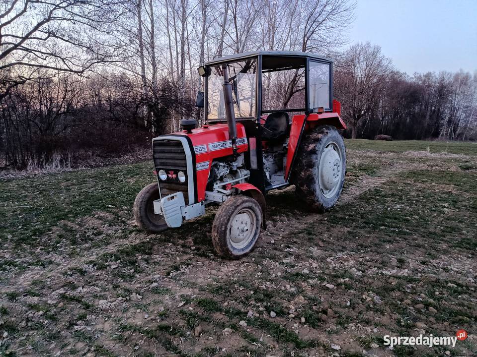 Massey Ferguson 255 Ropczyce