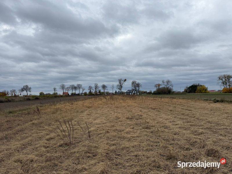 działki z doskonałą lokalizacją trasie Gostynin