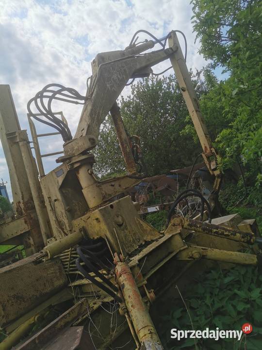 Ramię cyklop czeski Dobre Miasto sprzedam