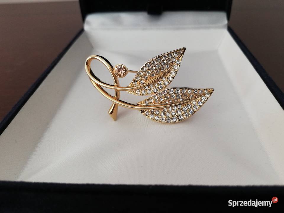 Klasyczna wykwintna delikatna broszka Lublin