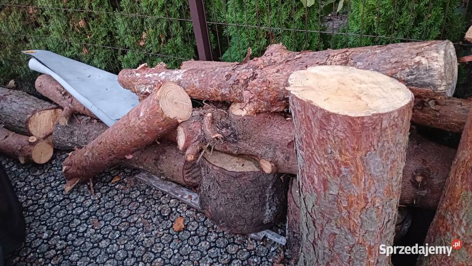 Drewno Brzoza sosna pniaki Niepołomice