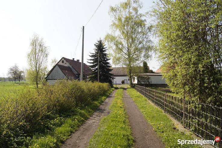 Sprzedam gospodarstwo rolne Borów Wielki