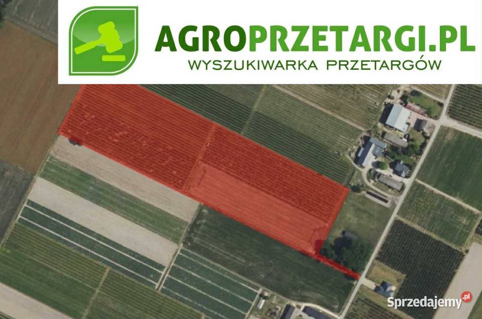 Sprzedaż 386 ha gruntu rolnego mazowieckie Sochaczew