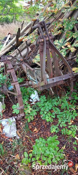 Kopaczka konna Jelenia Góra sprzedam