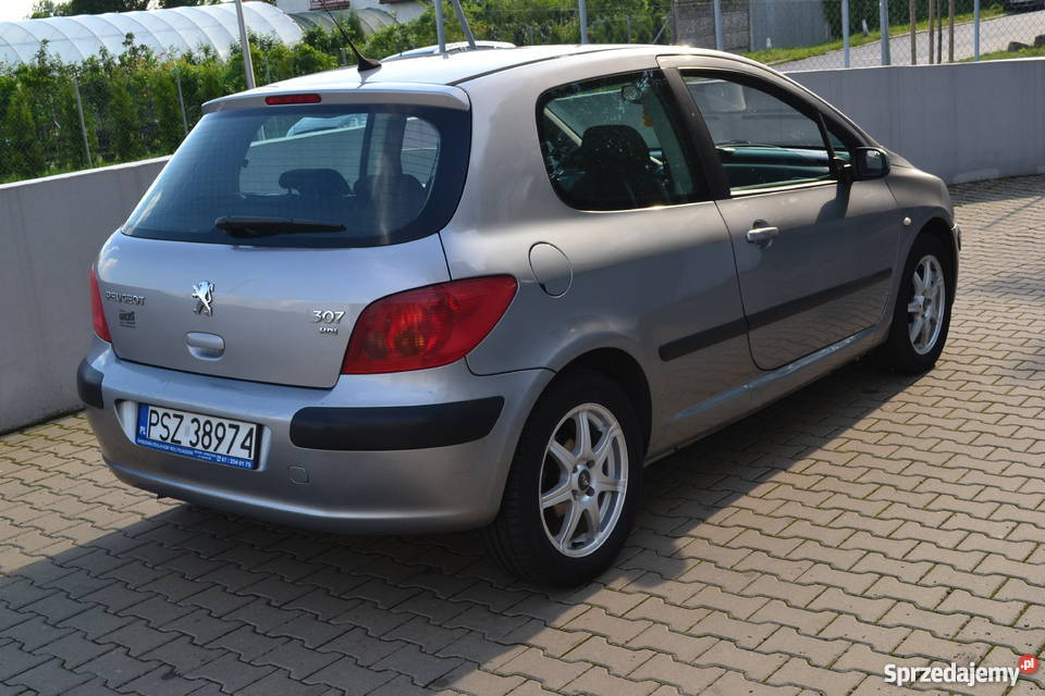 Zadbany Peugeot 307 2002r 2.0 HDI Oborniki Sprzedajemy.pl