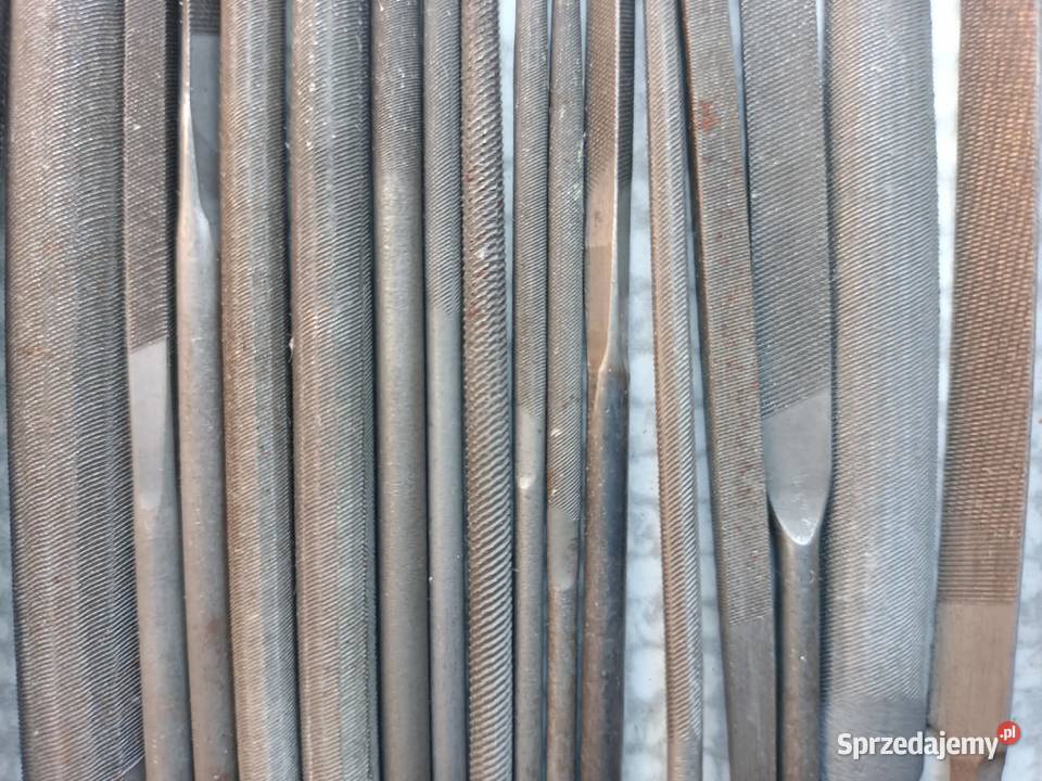 Pilniki iglaki śląskie Będzin