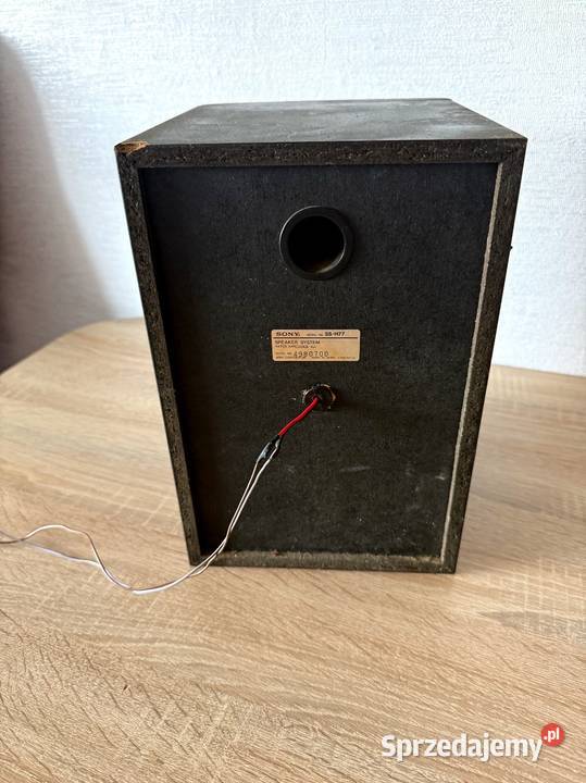 Głośnik kolumna SONY SSH77 Japończyk 6 Ohm Pozostałe Łódź