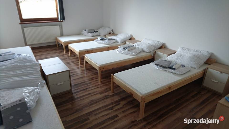 Nieruchomość działka 8500m dom 200m hala 900m Sprzedaż Września