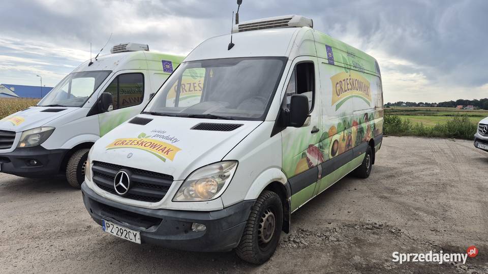 MERCEDES SPRINTER 313 CDI MAXI 2013 CHŁODNIA Mercedes-Benz Częstochowa sprzedam