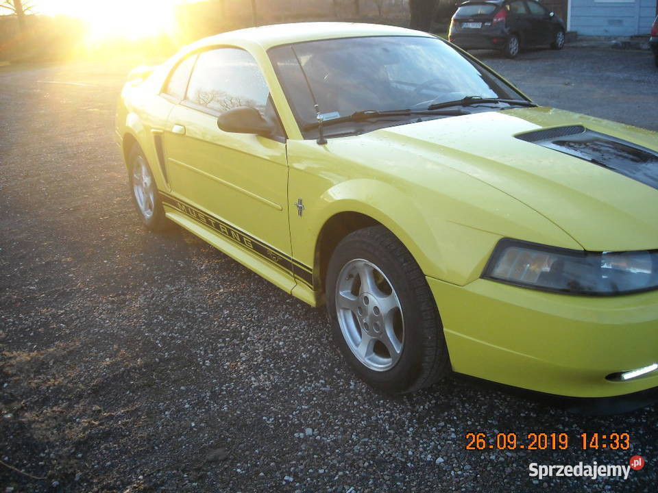 sprzedam mustang sn95 ASR (kontrola trakcji) Nidzica sprzedam