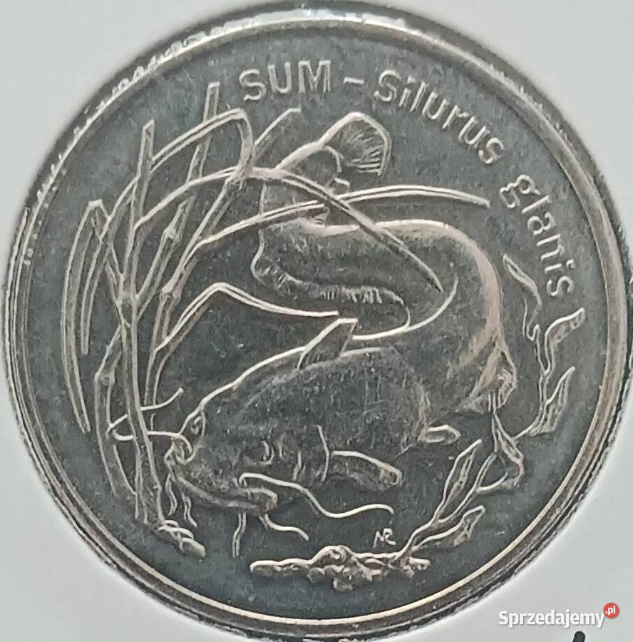 2 Sum 1995 r 1 mennicze holder