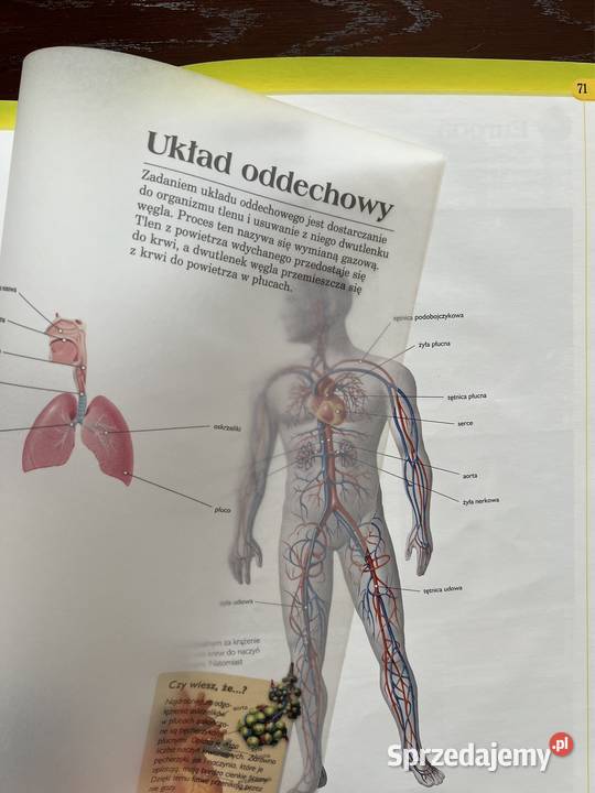 Świat przyrody atlas śląskie Częstochowa