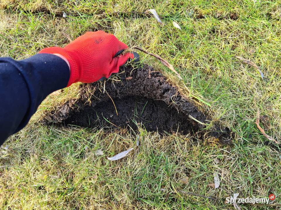 Wypożyczalnia aerator wertykulator koparka Warszawa