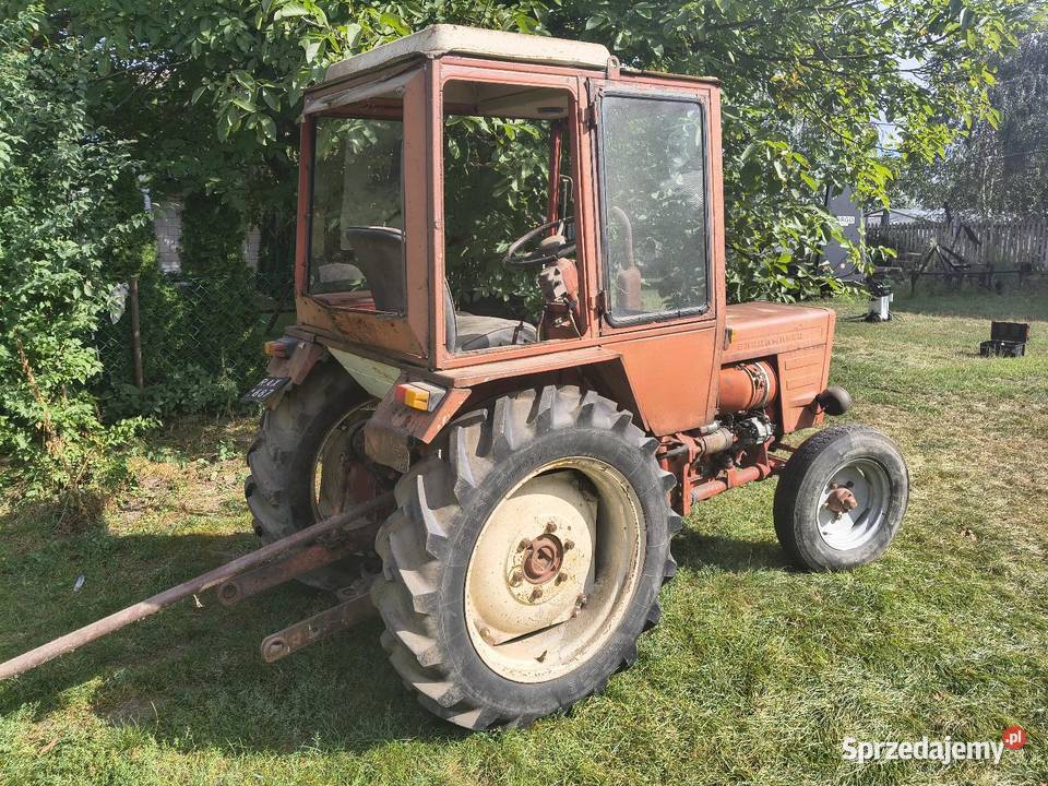 Wladymirec T25 Władek ruski sprzedam