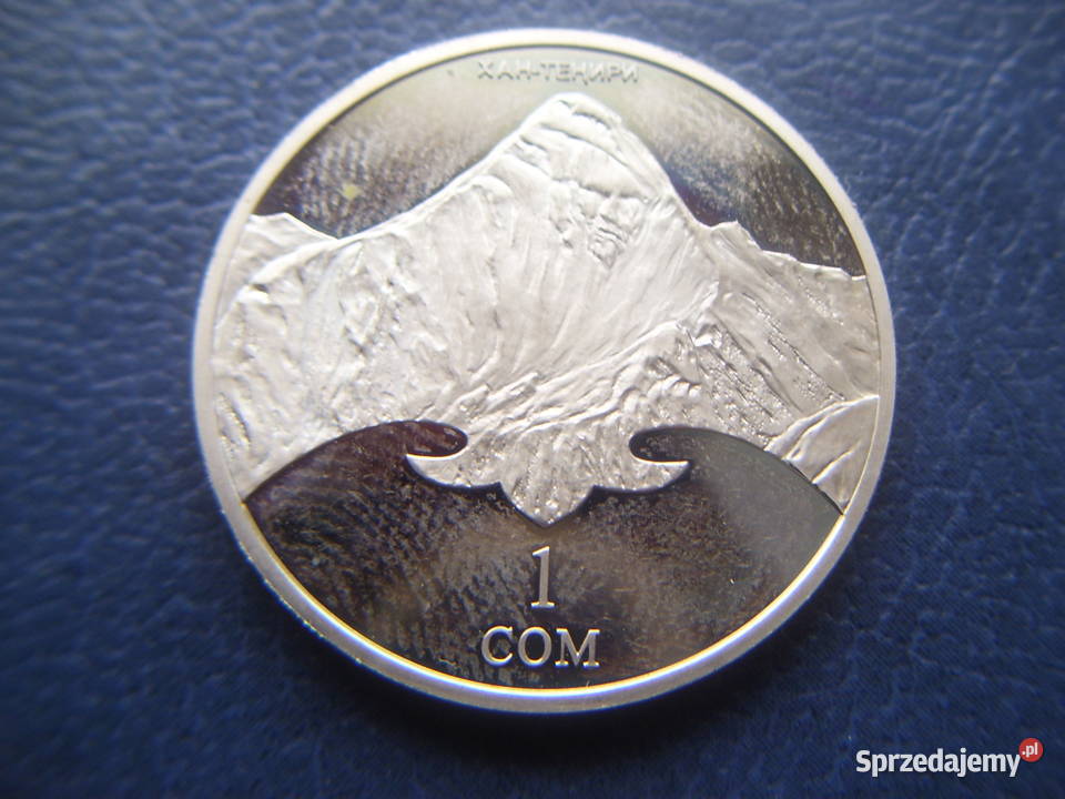 Stare monety 1 som 2011 Kirgistan Numizmatyka Lesko