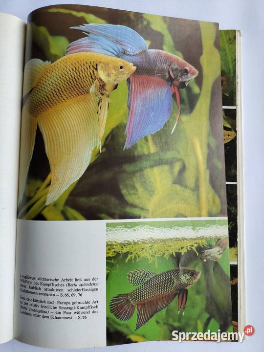 Akwarystyka Aquarienpraxis kurz gefabt Hans Frey Gdynia