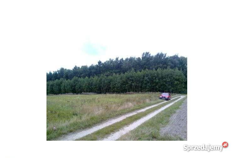 Działka pod letniaka na stałe Sewerynów Przytyk mazowieckie Przytyk