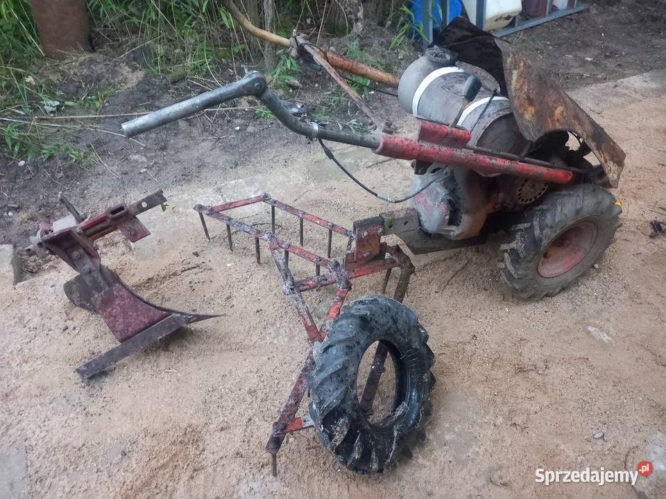 Sprzedam Traktor dzik TF 70 Morąg