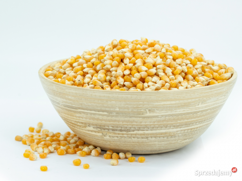 Kukurydza popcorn 1000g podkarpackie Brzozów