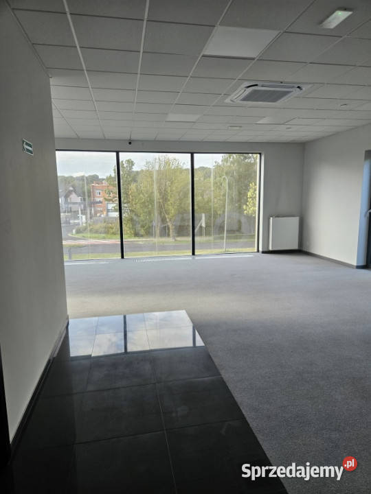 Lokal użytkowy z dużą działką śląskie