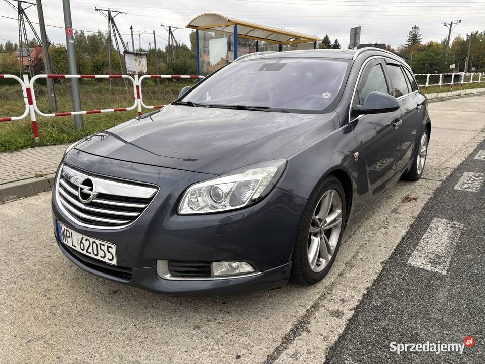 Opel Insignia 2010 20 CDTI 160 Cosmo Gorlice