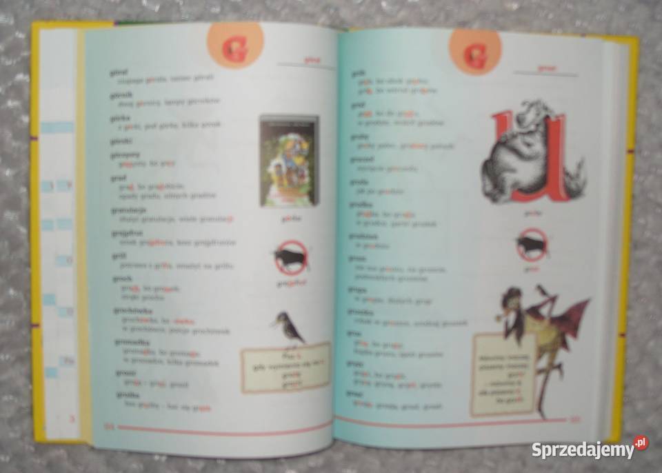 Nowy Ilustrowany Słownik Ortograficzny klas IVI wielkopolskie Rawicz