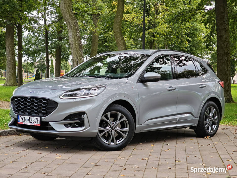 Ford Kuga III 2019 Sadlno
