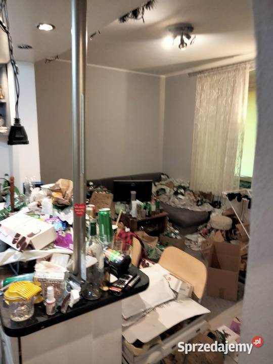 Odgrzybianie ścian i neutralizacja zarazków Mszana Dolna
